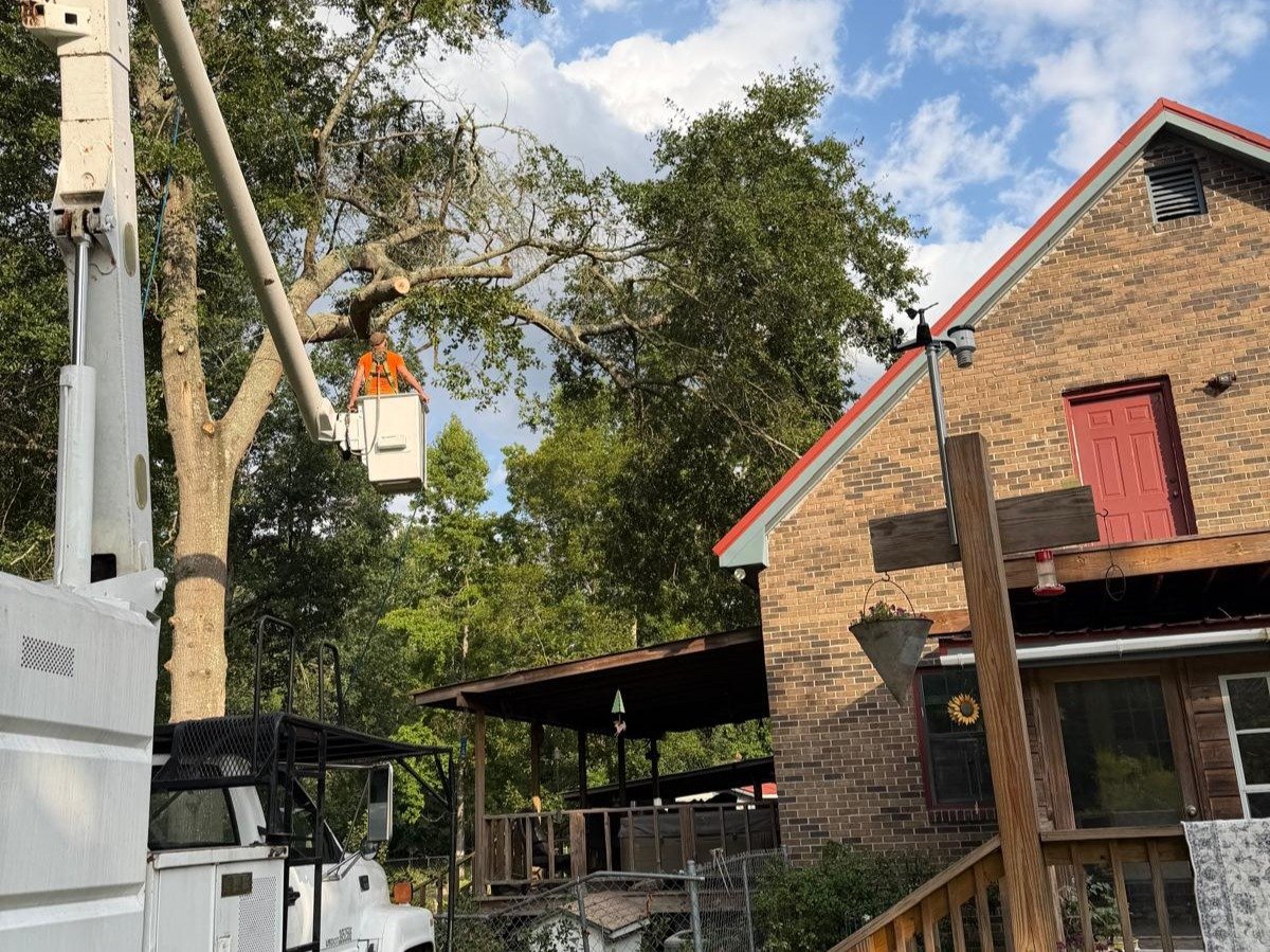 El Costeño Tree Service LLC